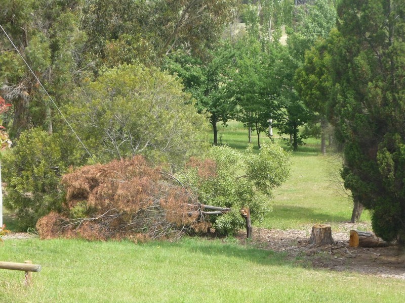 91 Conway Street, Mowbray TAS 7248