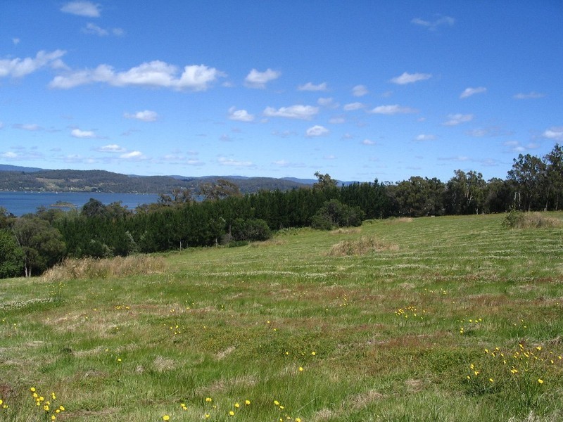 . Hillwood Road, Hillwood TAS 7252