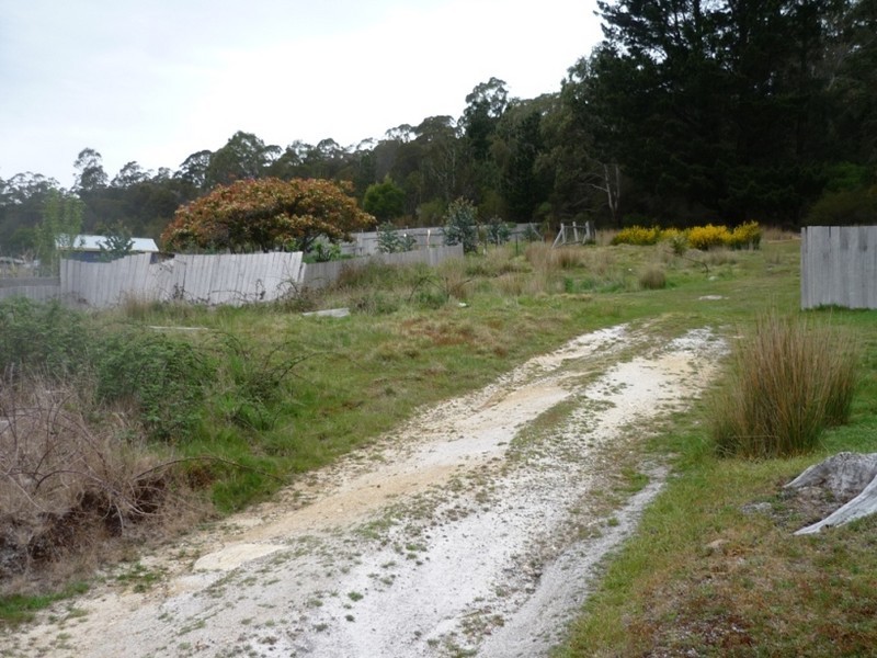 44 Main Road, Pioneer TAS 7264