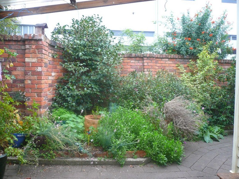 63 Frederick Street, Launceston TAS 7250