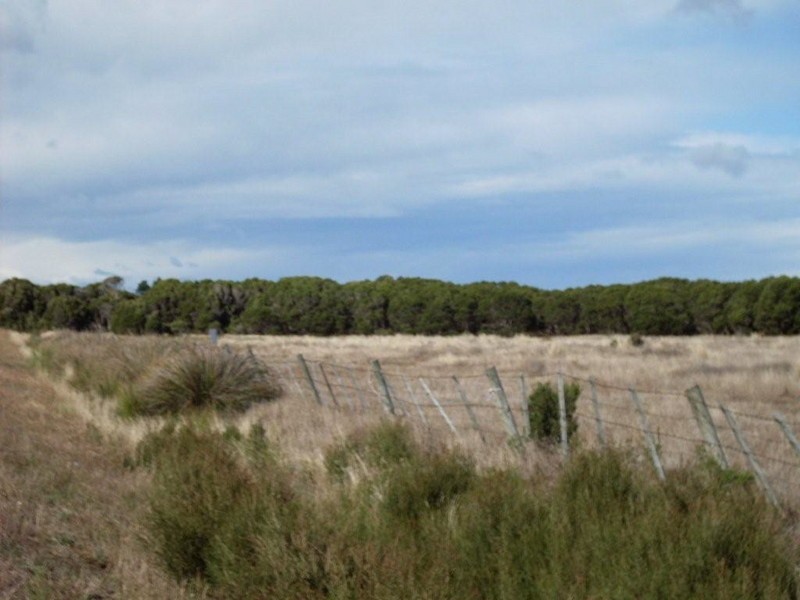 114 Anne Street, George Town TAS 7253