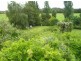 38 Tannery Road, Launceston TAS 7250