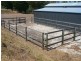 1129 East Tamar Highway, Dilston TAS 7252