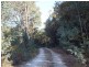 5005 Bridport Road, Pipers River TAS 7252