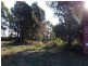 5005 Bridport Road, Pipers River TAS 7252