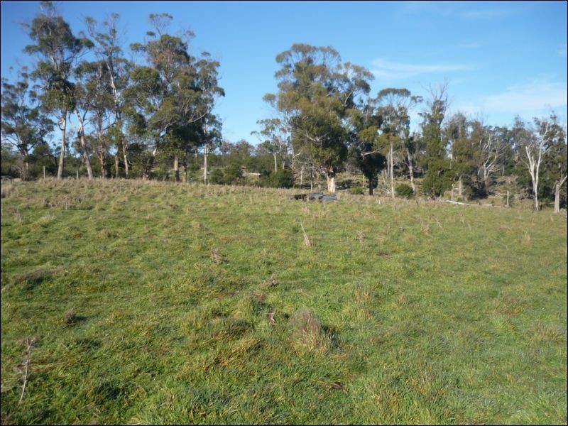 1232 Windermere Road, Windermere TAS 7252