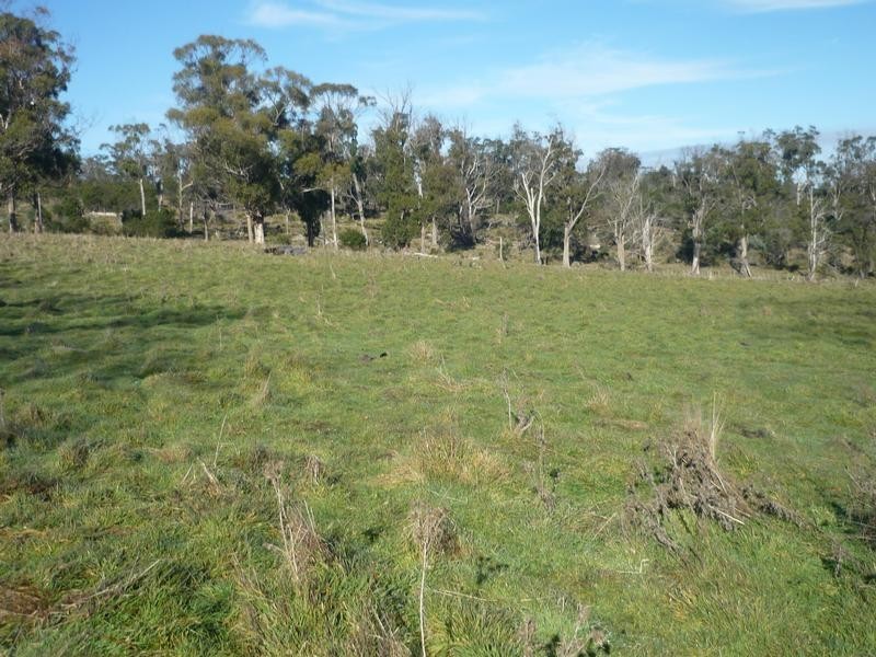 1232 Windermere Road, Windermere TAS 7252