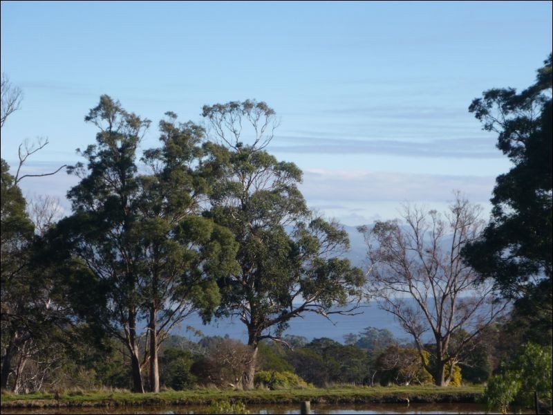 1232 Windermere Road, Windermere TAS 7252