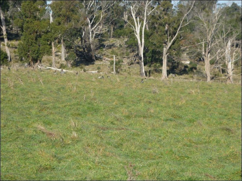 1232 Windermere Road, Windermere TAS 7252