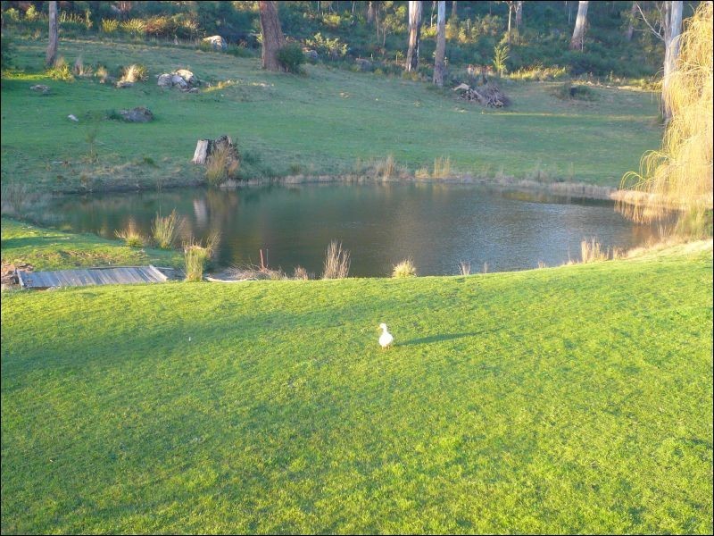 268 Los Angelos Road, Swan Bay TAS 7252