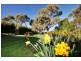 235 Perth Mill Road, Evandale TAS 7212