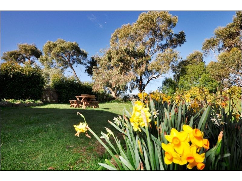 235 Perth Mill Road, Evandale TAS 7212