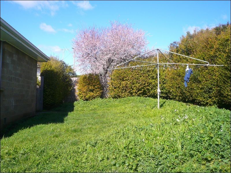 29 Naroo Street, Waverley TAS 7250