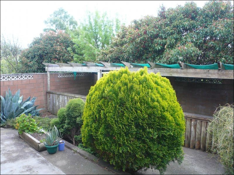 62 Franmaree Road, Newnham TAS 7248