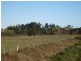 120 Anne Street, George Town TAS 7253
