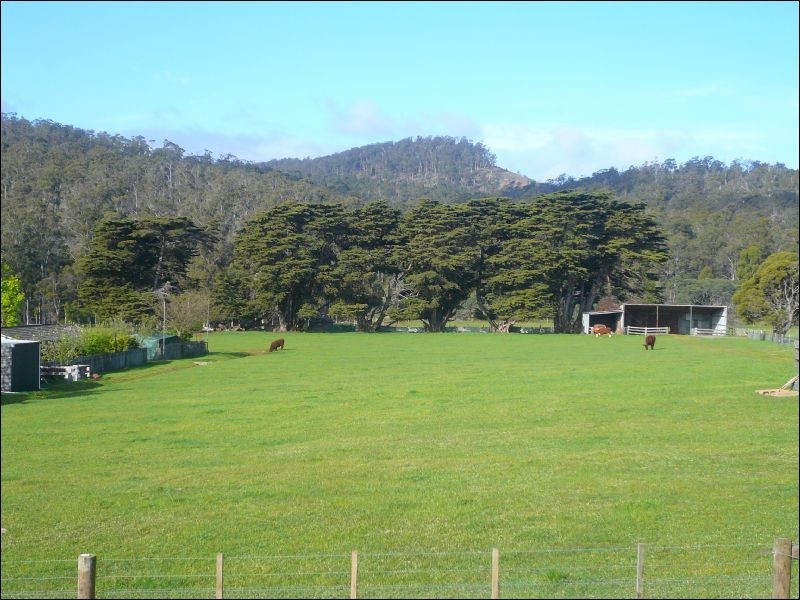 2192 East Tamar Highway, Mount Direction TAS 7252