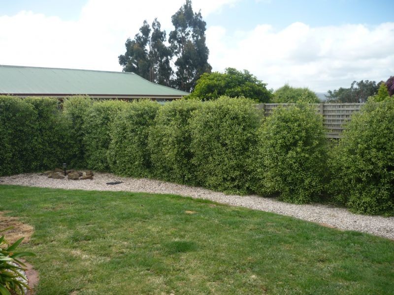 71 Freshwater Point Road, Legana TAS 7277