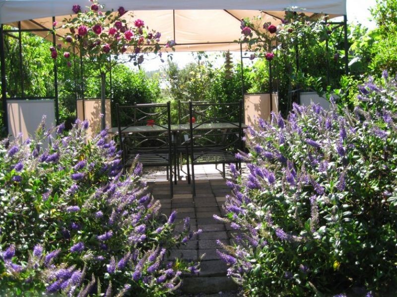 24 Foote Street, Hadspen TAS 7290