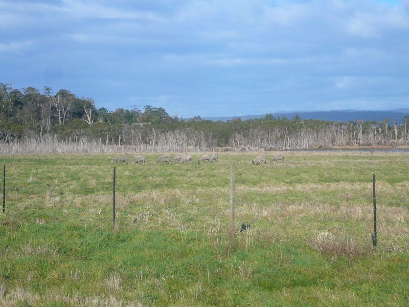 1583 East Tamar Highway, Dilston TAS 7252