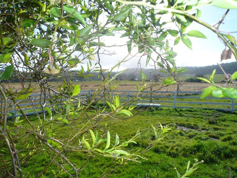 1583 East Tamar Highway, Dilston TAS 7252