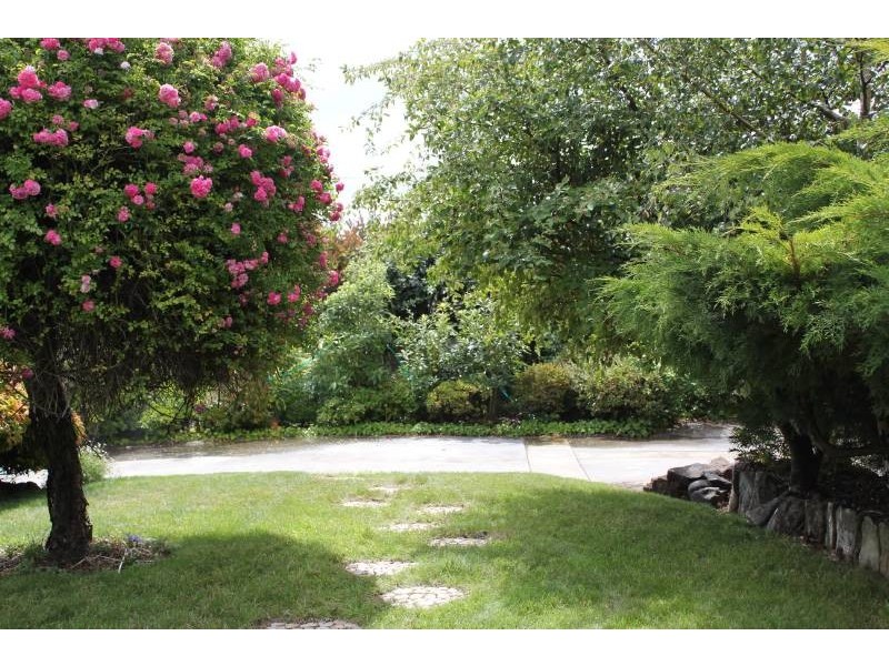 6 Procter Street, Newnham TAS 7248