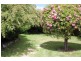 6 Procter Street, Newnham TAS 7248