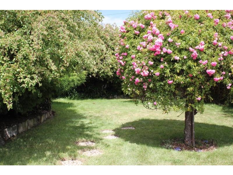 6 Procter Street, Newnham TAS 7248