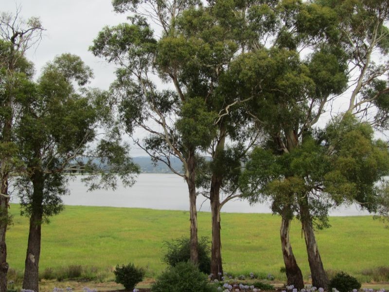 193 Windermere Road, Windermere TAS 7252