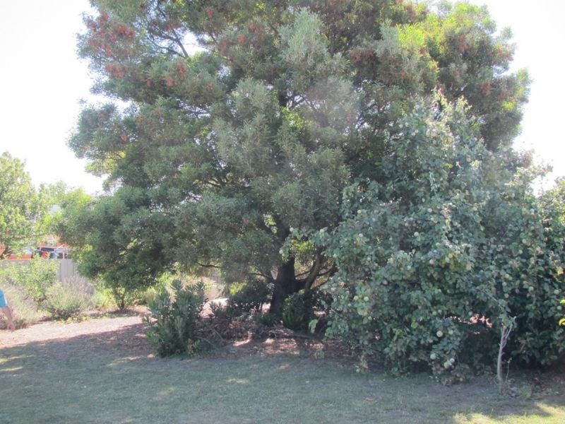 4 Miriam Court, Newnham TAS 7248