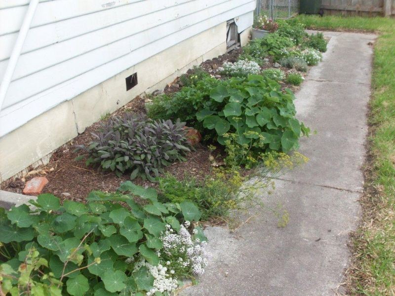 15 Davidson Street, George Town TAS 7253