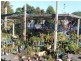 72 – 74 Victoria Street, George Town TAS 7253