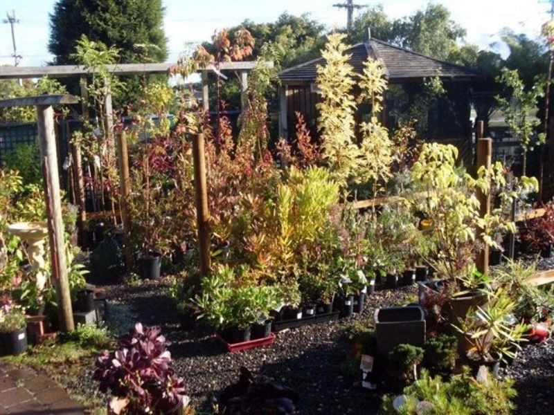 72 – 74 Victoria Street, George Town TAS 7253