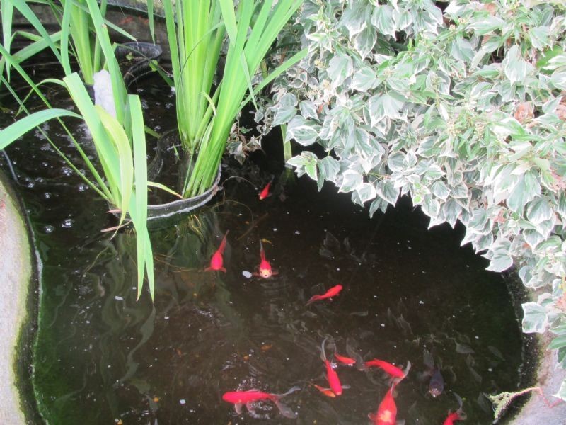 106 Windermere Road, Windermere TAS 7252