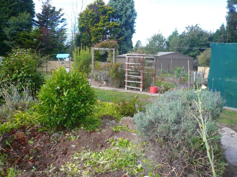 716 Deviot Road, Deviot TAS 7275