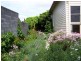 34a Cimitiere Street, Launceston TAS 7250