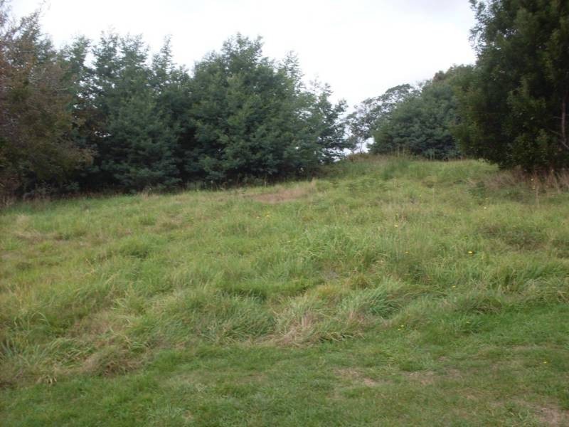 17 Bolton Street, Beaconsfield TAS 7270