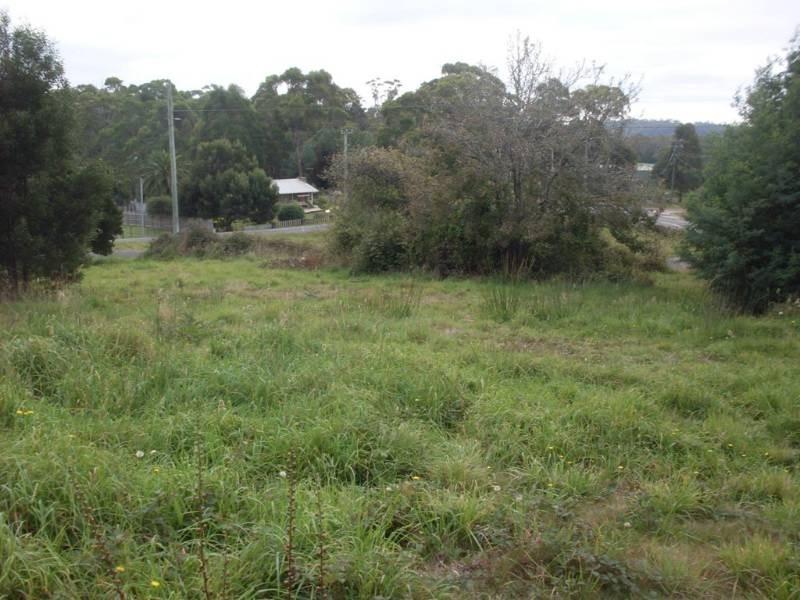 17 Bolton Street, Beaconsfield TAS 7270