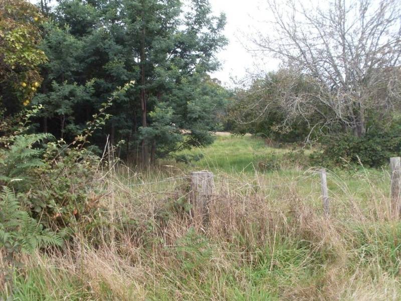 17 Bolton Street, Beaconsfield TAS 7270