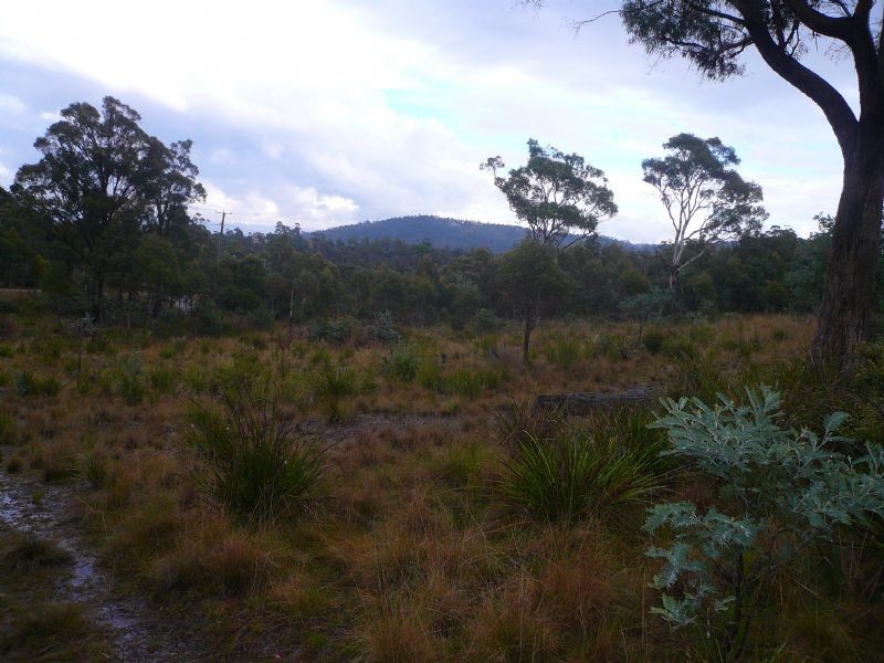 3 Keith Avenue, Travellers Rest TAS 7250