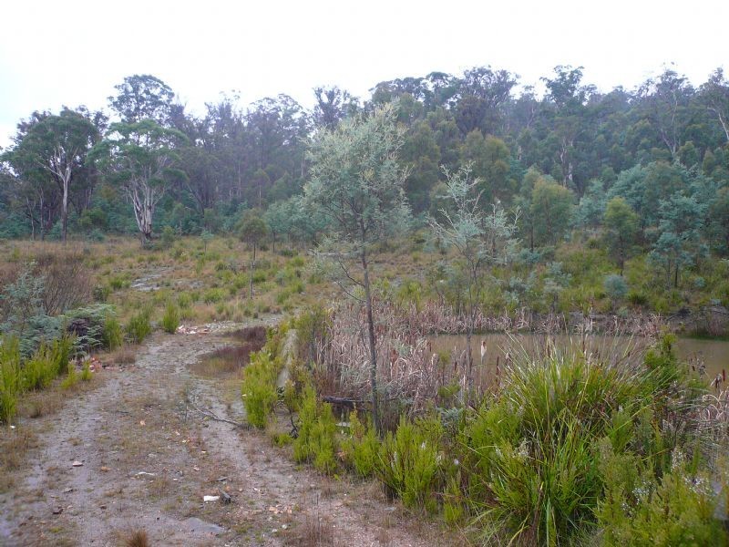 5  Keith Avenue, Travellers Rest TAS 7250