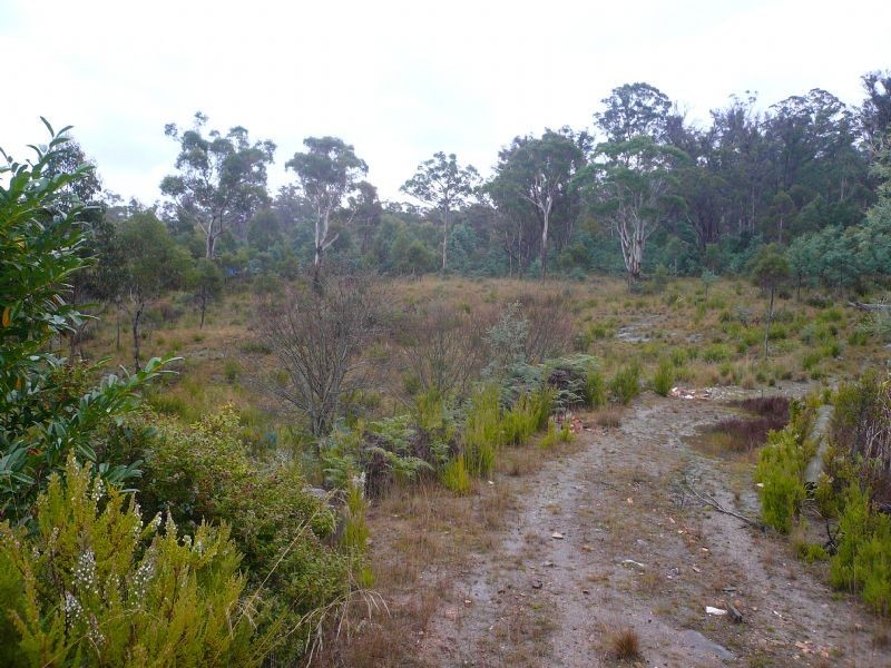 5  Keith Avenue, Travellers Rest TAS 7250