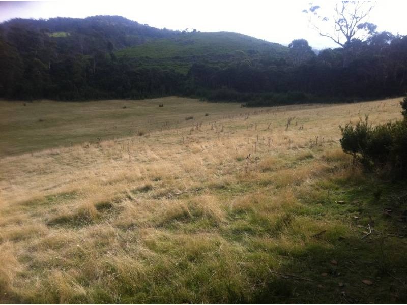 Lot 1 Muskvale Road, George Town TAS 7253
