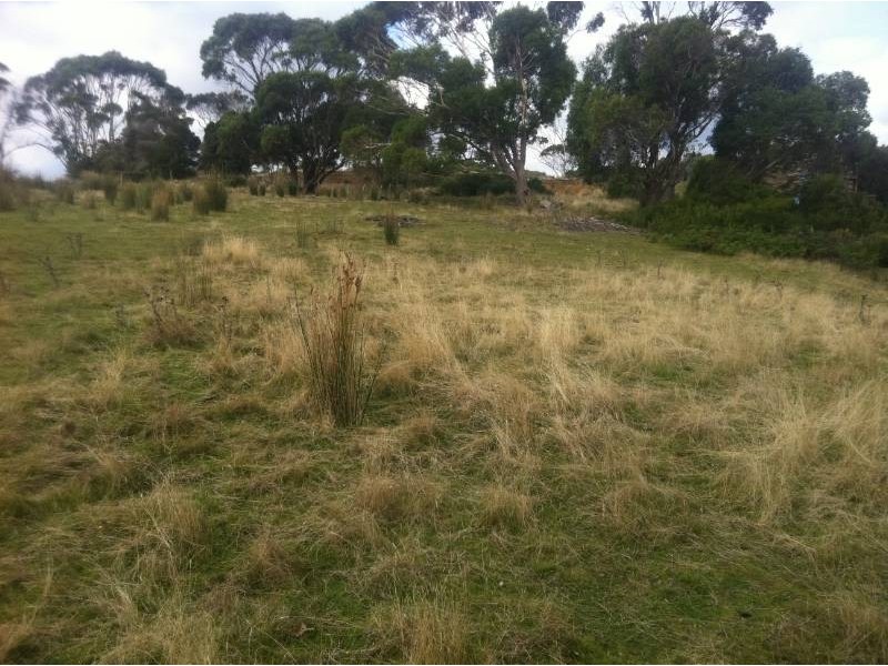 Lot 1 Muskvale Road, George Town TAS 7253