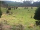 Lot 1 Muskvale Road, George Town TAS 7253