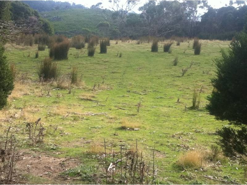 Lot 1 Muskvale Road, George Town TAS 7253