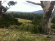 Lot 1 Muskvale Road, George Town TAS 7253