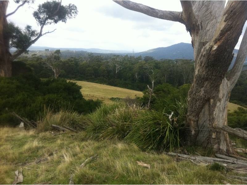 Lot 1 Muskvale Road, George Town TAS 7253