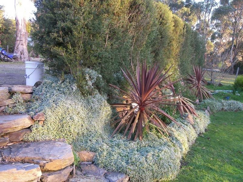 89 Hillwood Road, Hillwood TAS 7252