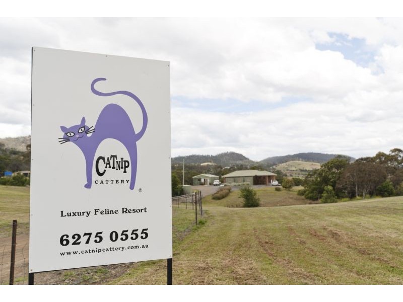 56 Kathleen Drive, Old Beach TAS 7017