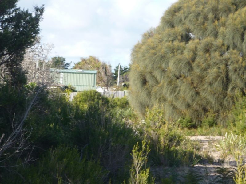 6 Ninth Island Crescent, Lulworth TAS 7252
